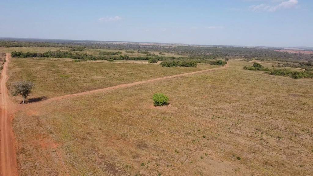 Fazenda em Crixás - GO 3