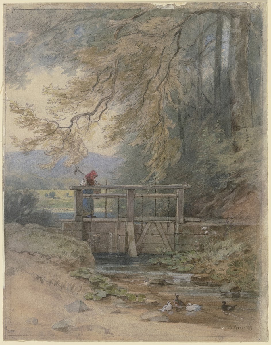 Forest landscape with weir