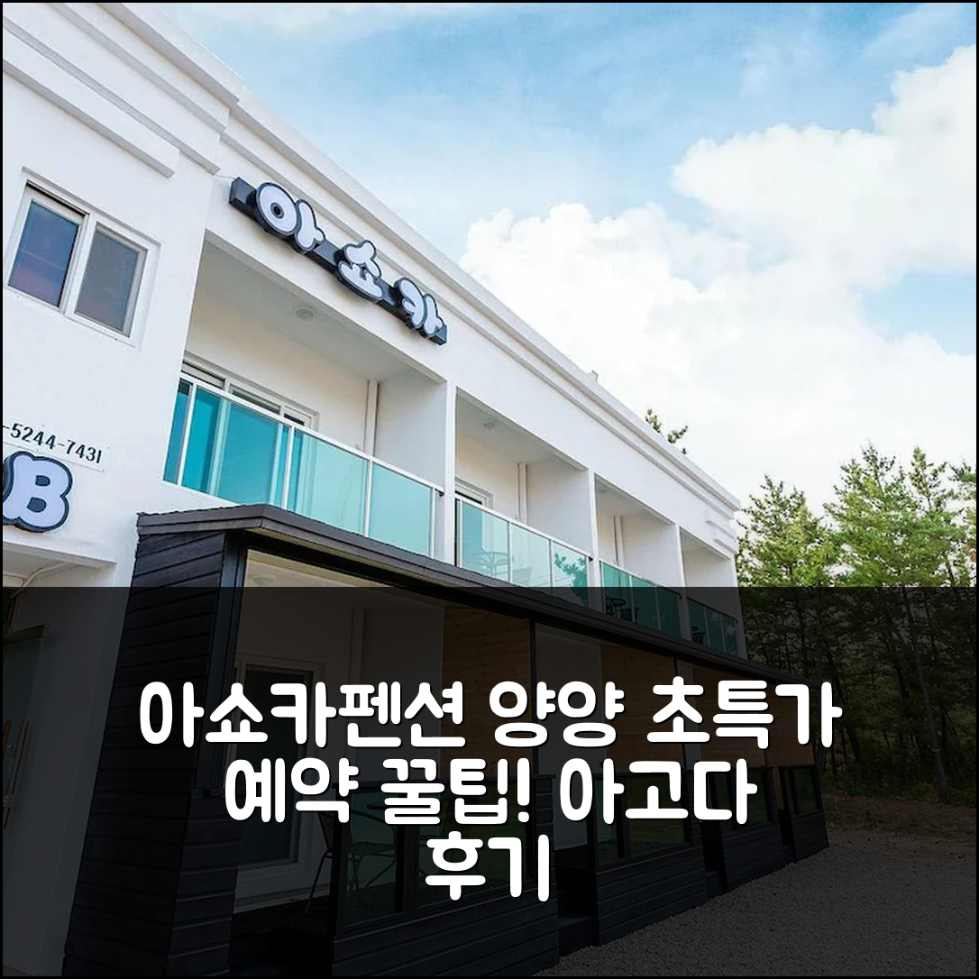 아쇼카펜션 양양 특가 예약 꿀팁 후기 - 아고다 호텔 추천