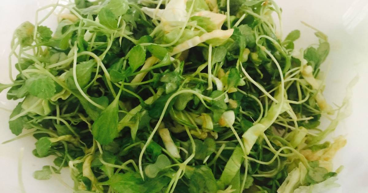 Salad sauce mù tạt vàng