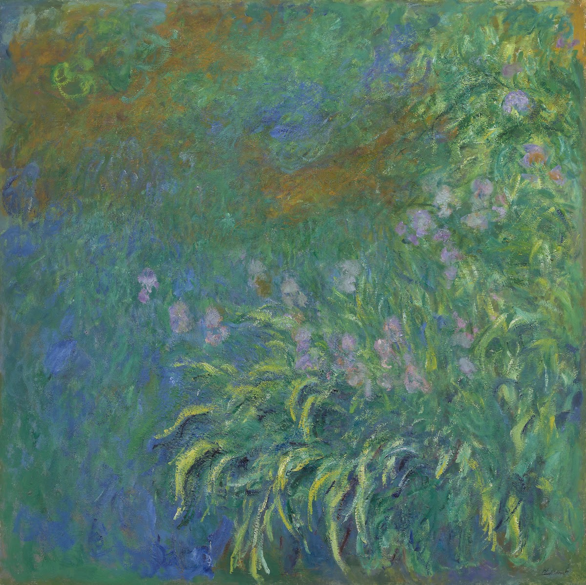 Irises 1914 17