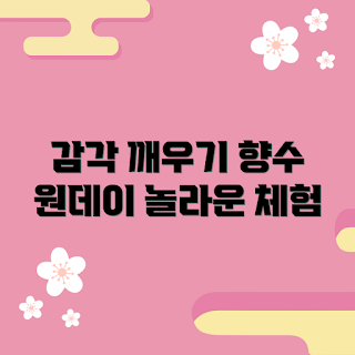 향수원데이클래스, 향수 초보, 향수 만들기, 향기 전문가, 감각 경험