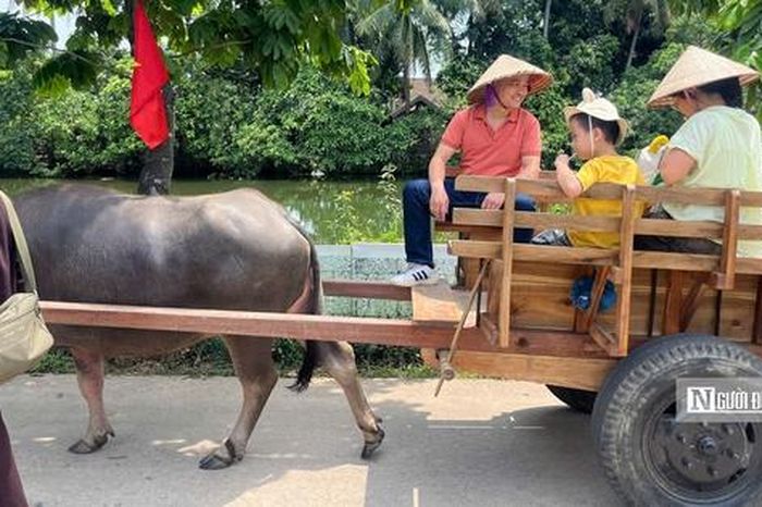 Du khách thích thú với dịch vụ xe trâu tại làng cổ Đường Lâm - Tạp chí Người Đưa Tin