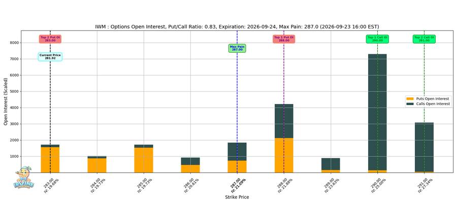 IWM Options