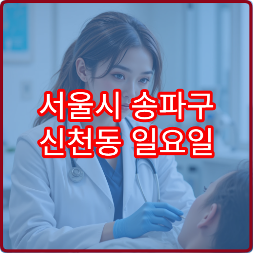서울시 송파구 신천동 일요일 피부과 진료 병원 피부 질환
