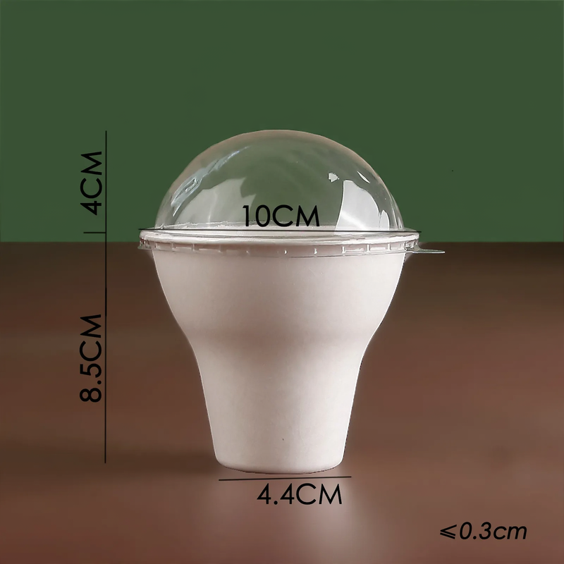 Disposable paper container, biodegradable