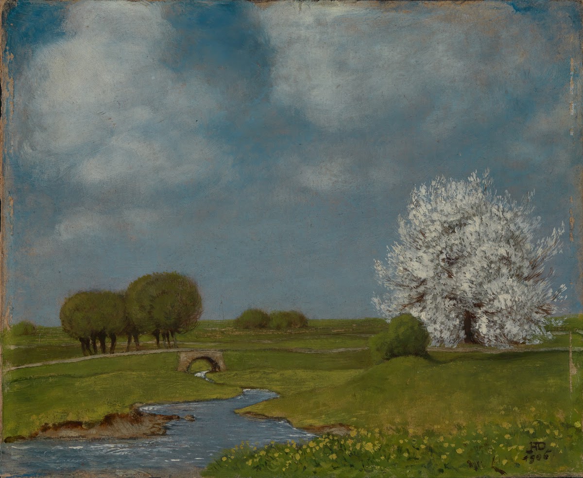 Frühling am Bach