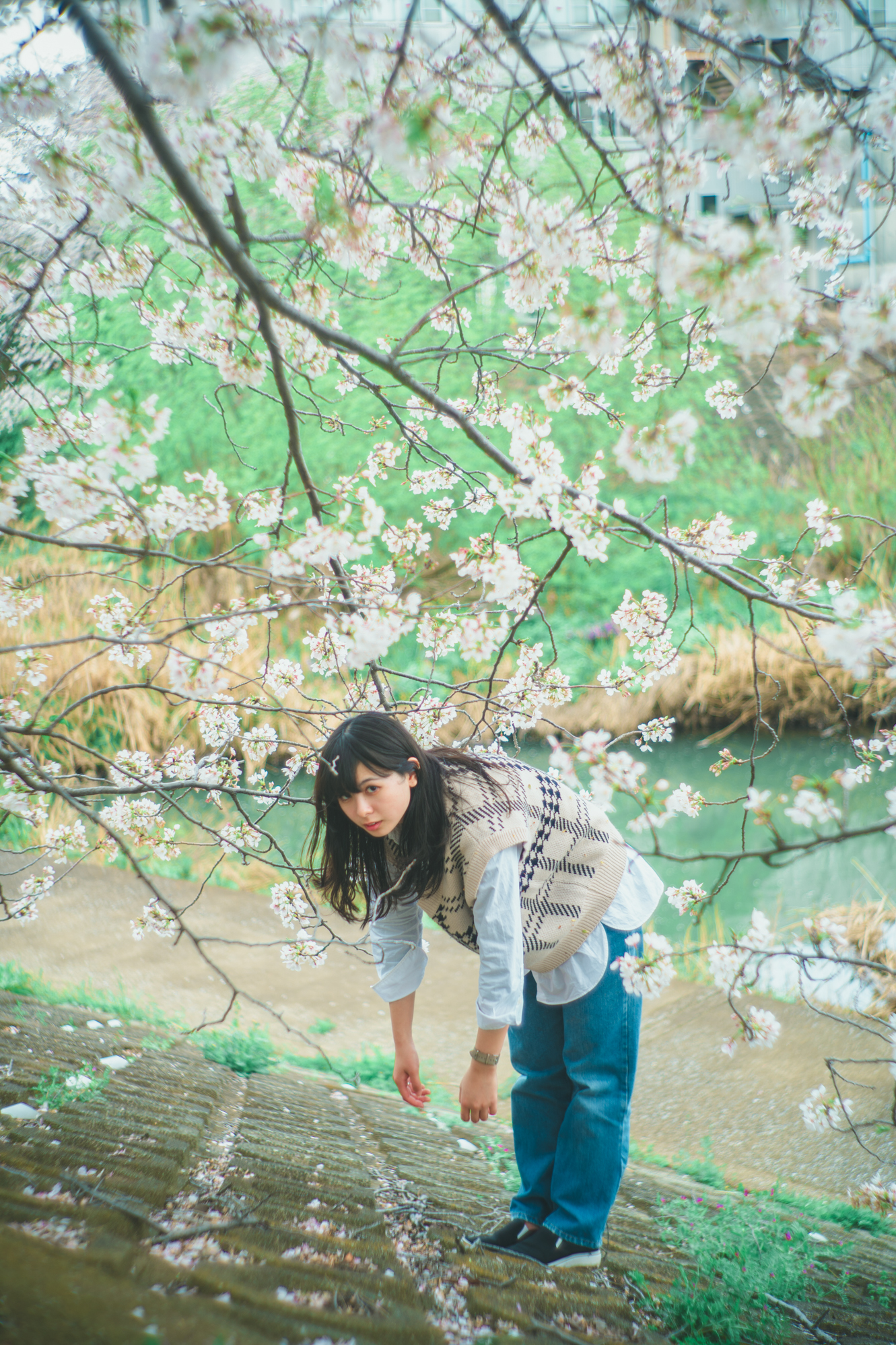 Portrait — Makino Shota