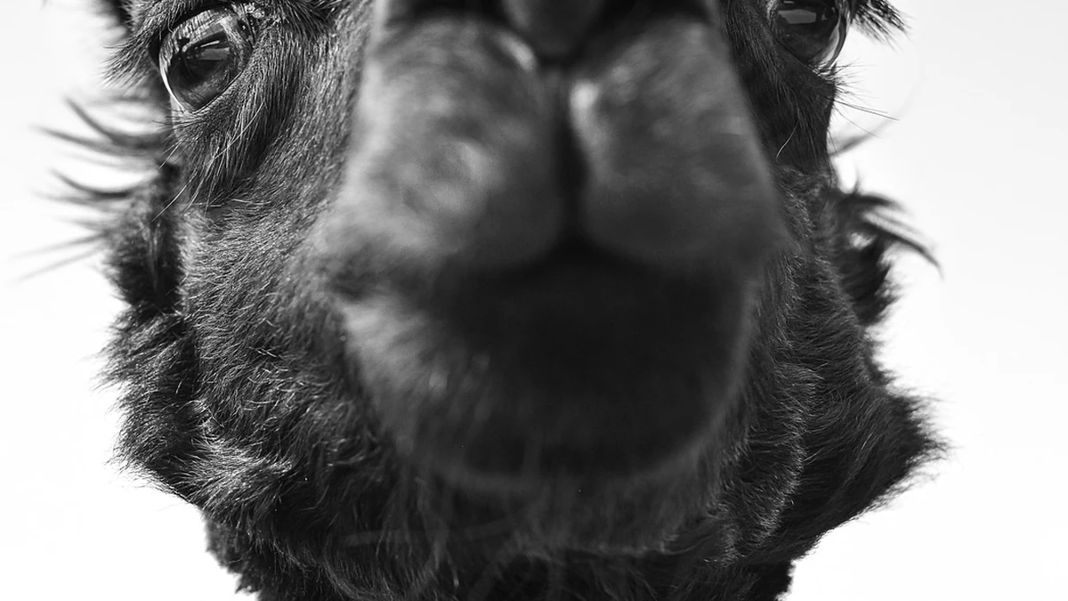 복지급여 종류별 신청 조건과 수급 시 주의사항 비교