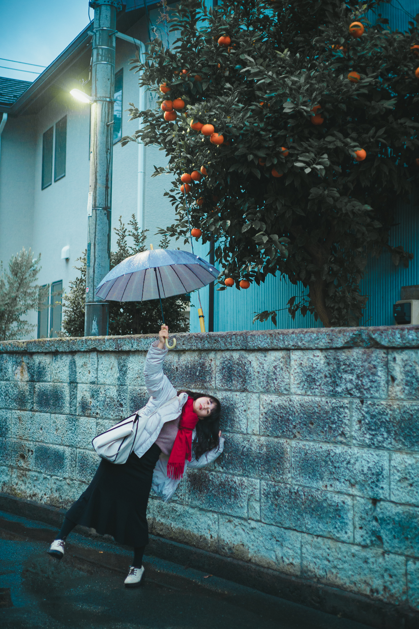 Portrait — Makino Shota
