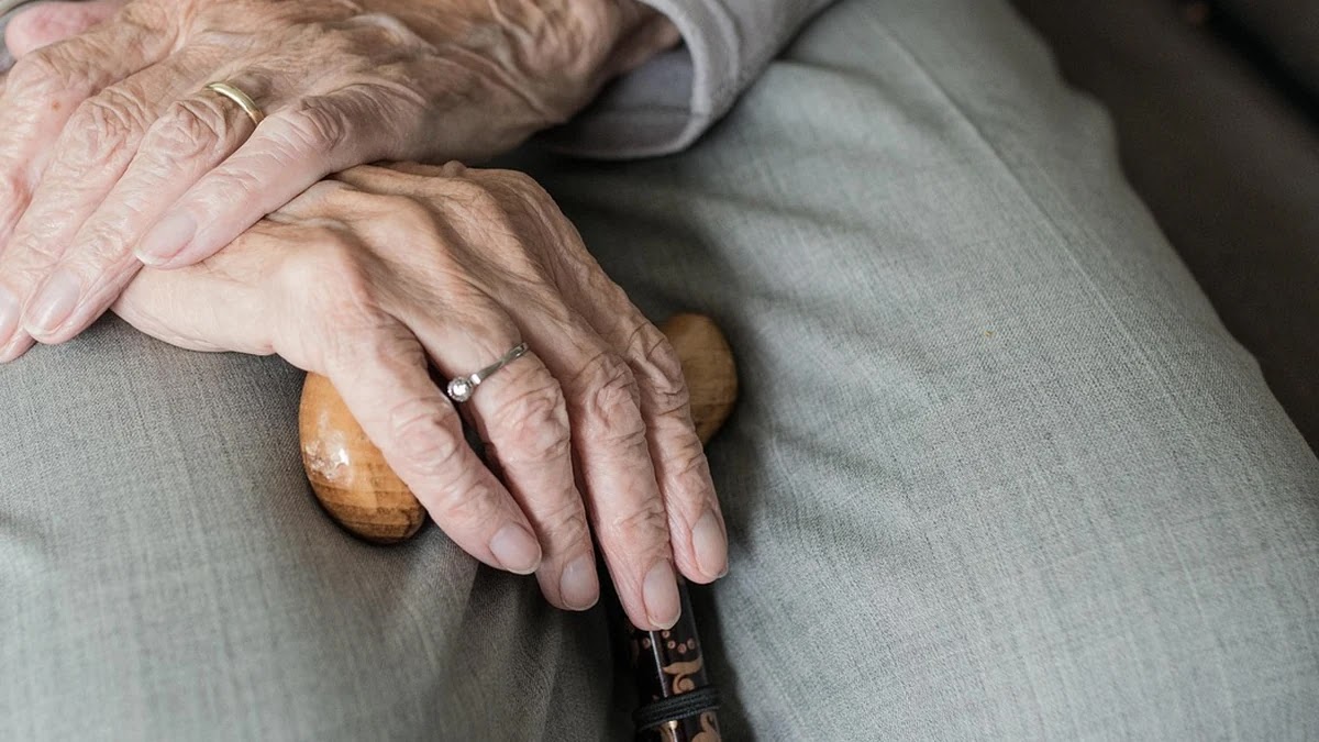 노인 대상 복지급여 종류별 신청 기준과 혜택 비교