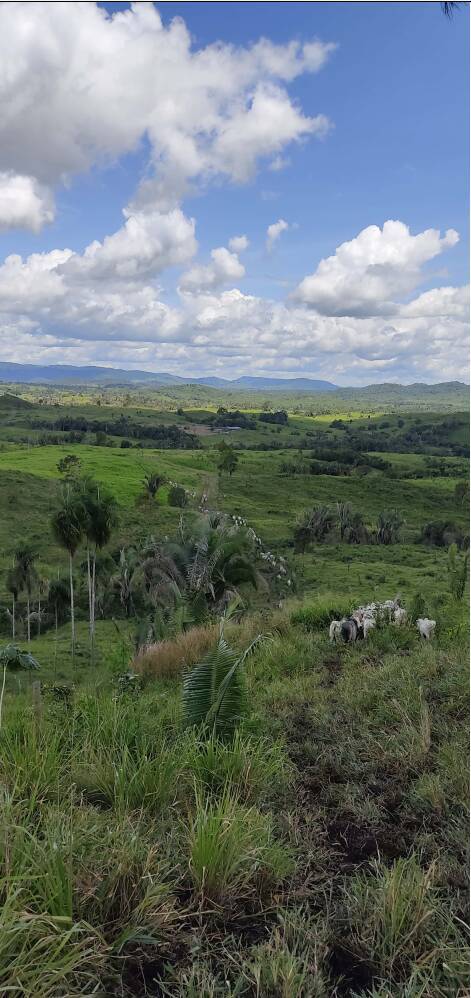 Fazenda em Ourilândia do Norte-PA 3
