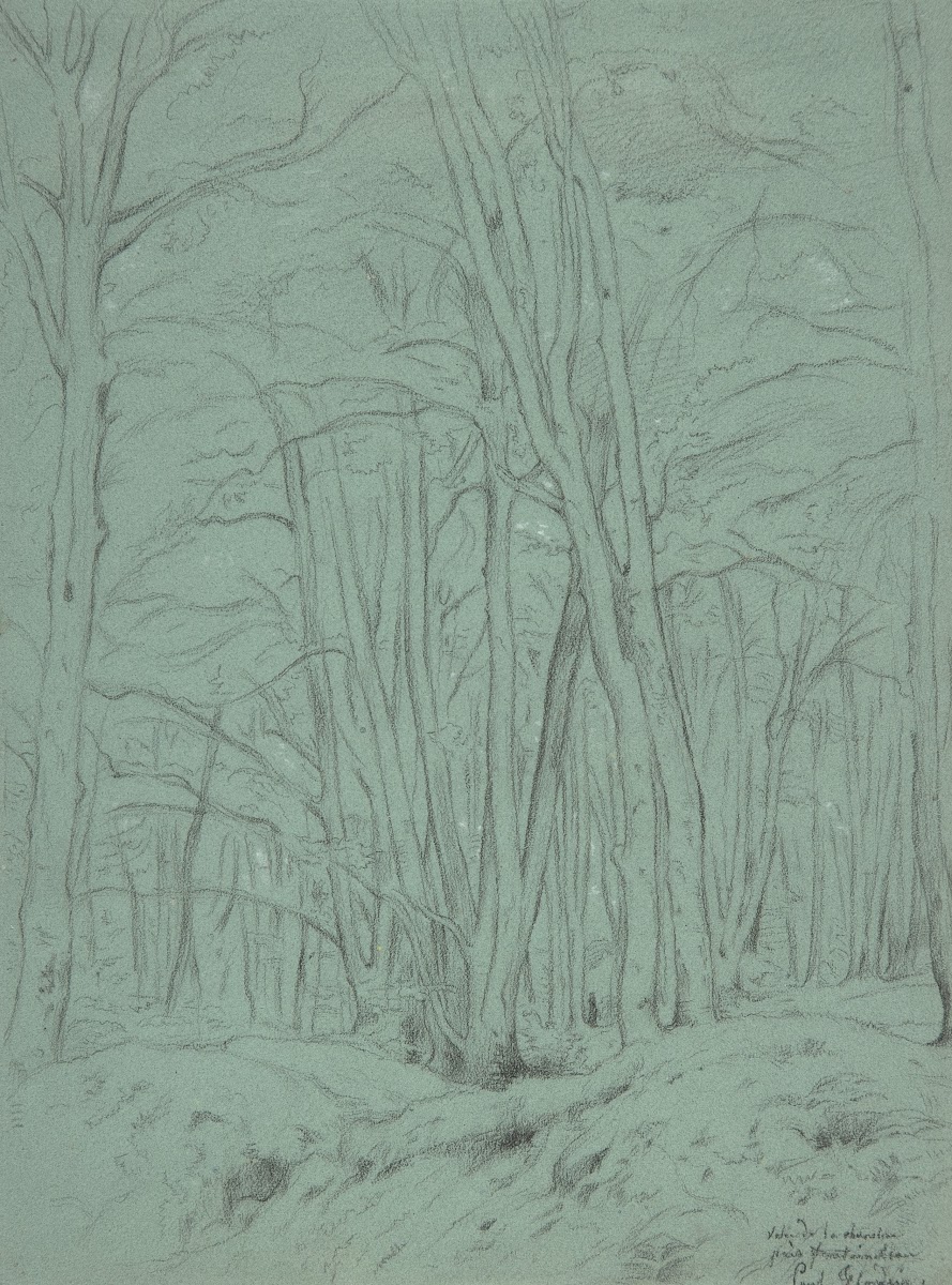 Forest View Near Fontainebleau 19th century