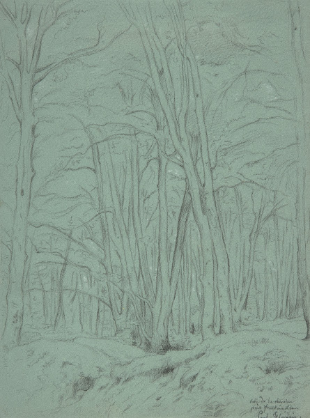 Forest View Near Fontainebleau 19th century