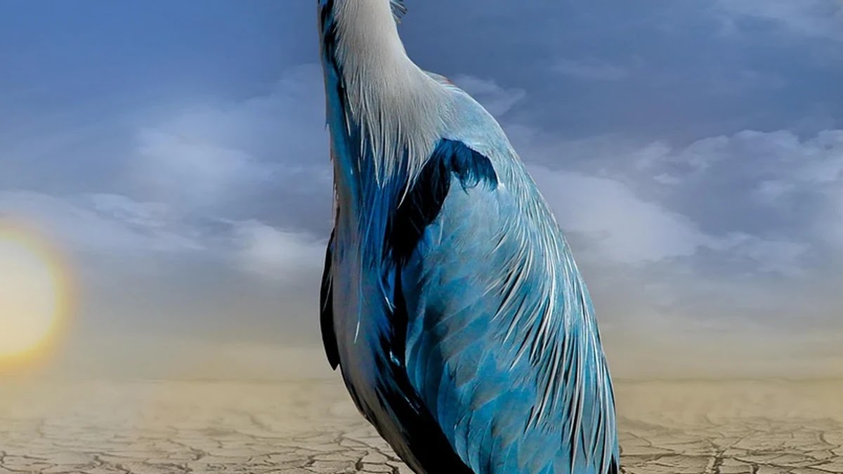 기후변화 대응 정책의 제도적 구조와 경제적 영향