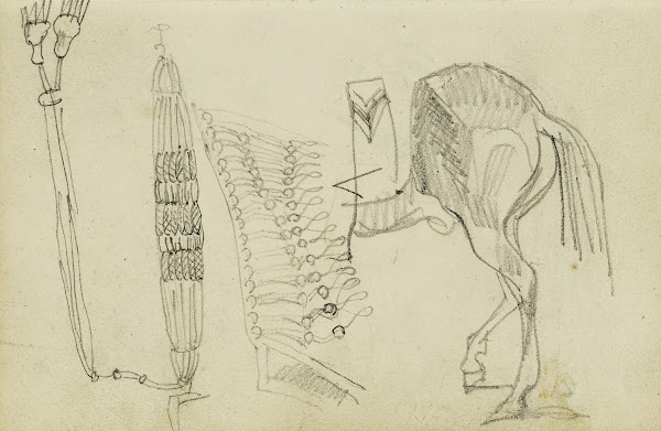 Horse Studies and Tassels 1812   1814