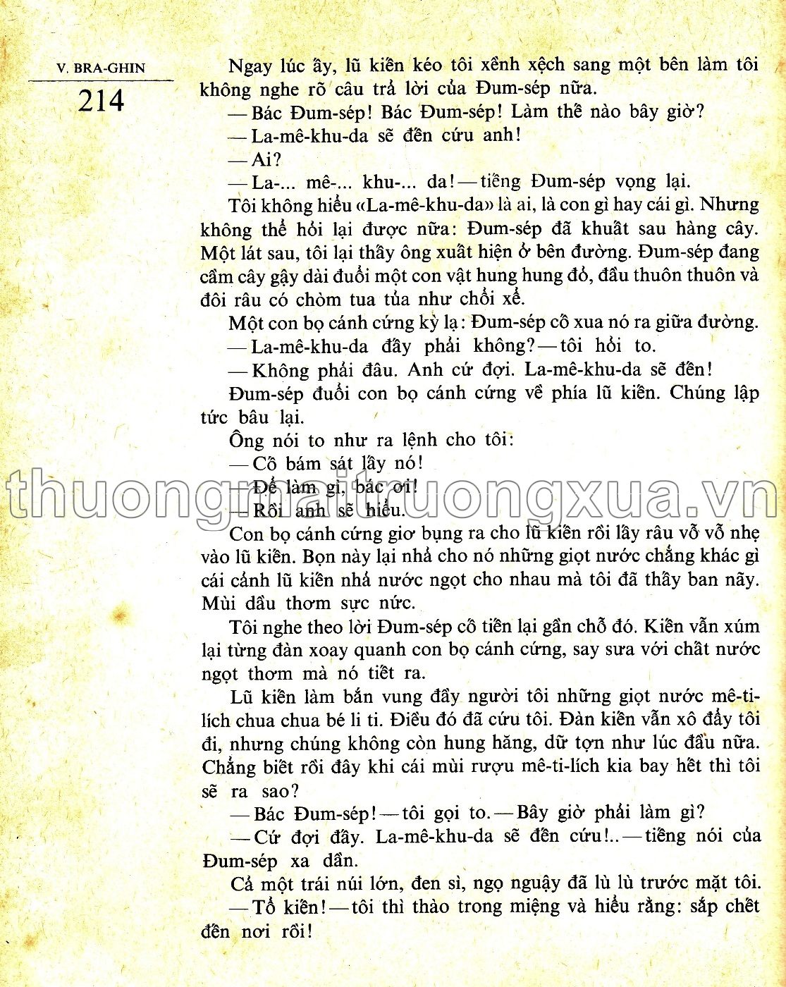 Ở xứ cỏ rậm (1988) - Trang 40