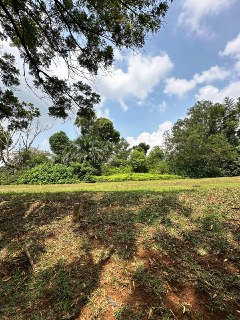 Bungalow Land Presint 10 Putrajaya (12,820 sqft) — foto 5/10