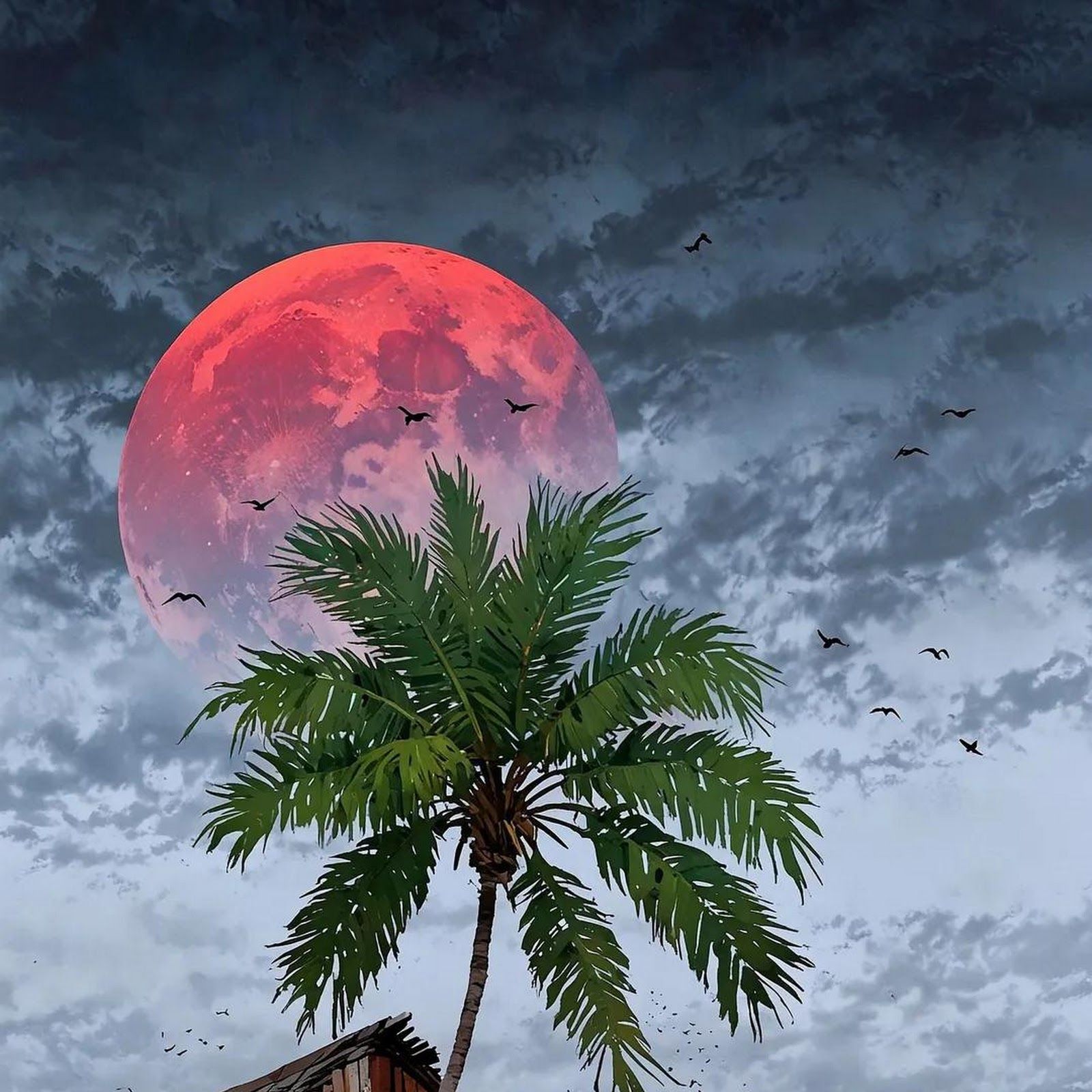 Download Tropical Landscape, Desert Scene, Red Moon, Palm Tree iPhone