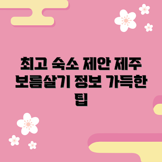 제주보름살기숙소, 제주 여행 팁, 초보 여행자, 숙소 추천, 제주도 체험