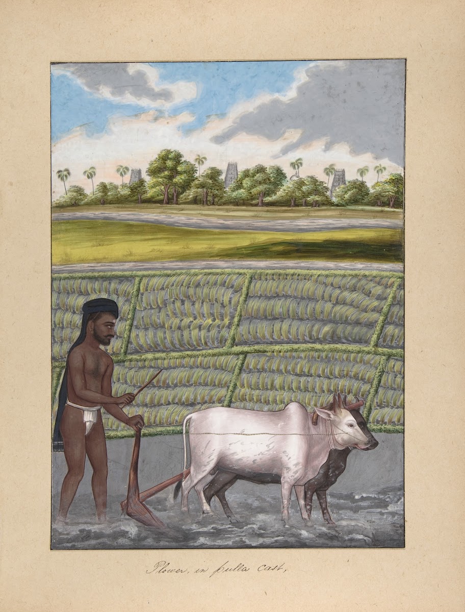 Plower in Pulla Caste 1840