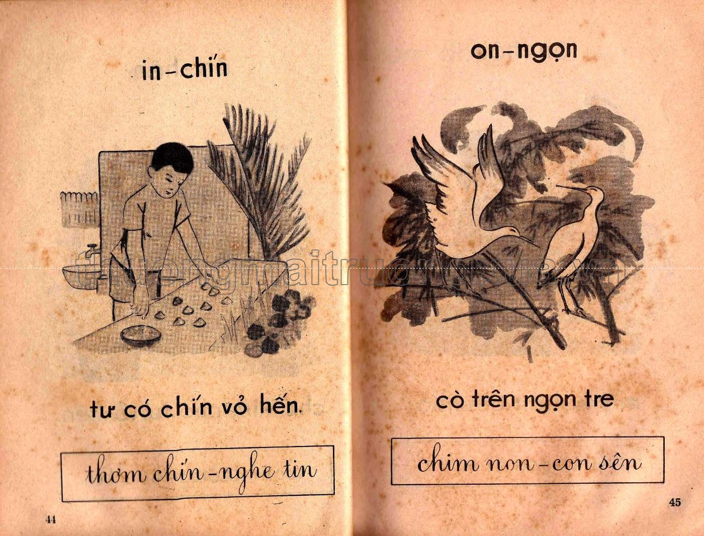 Học vần  - Trang 23