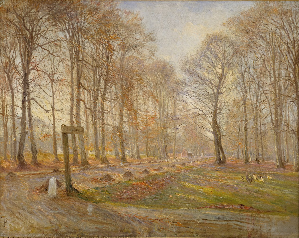 Late Autumn Day in the Jægersborg Deer Park North of Copenhagen