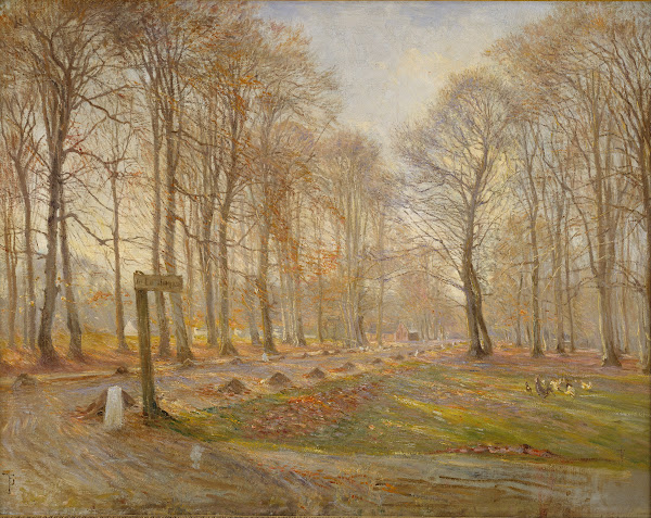 Late Autumn Day in the Jægersborg Deer Park North of Copenhagen