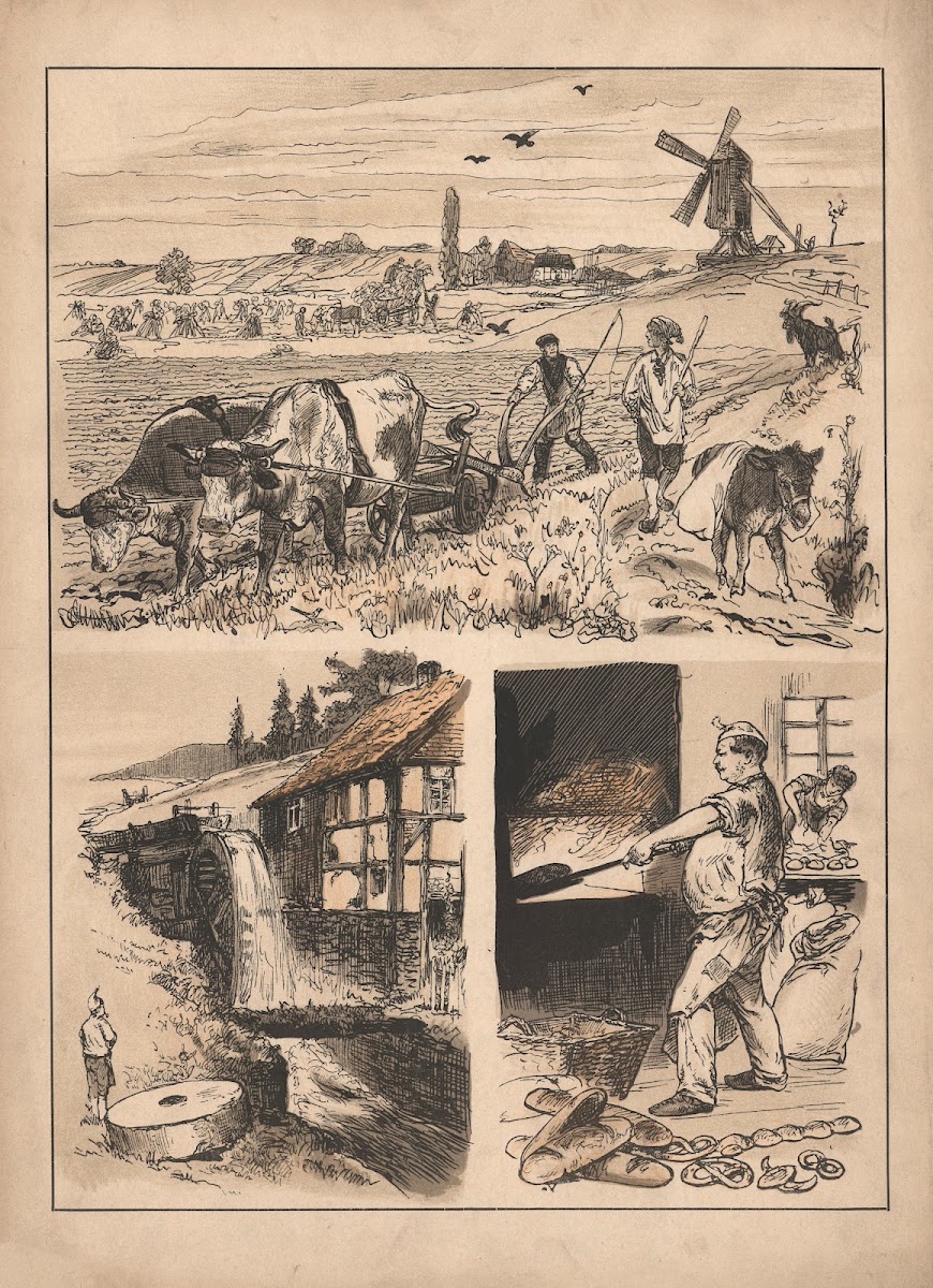 From the beloved bread 1915