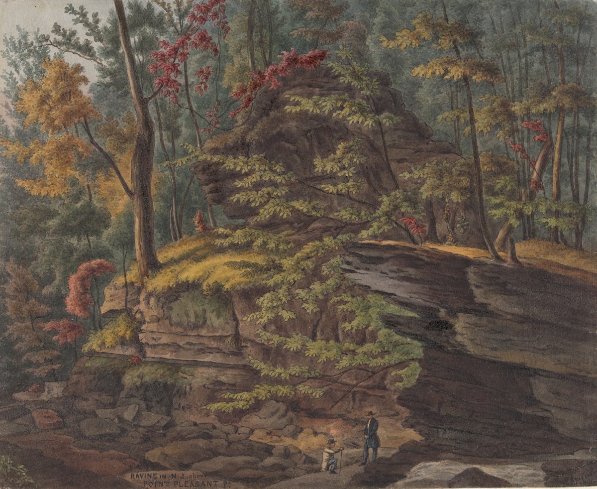 Ravine in New Jersey above Point Pleasant 1886