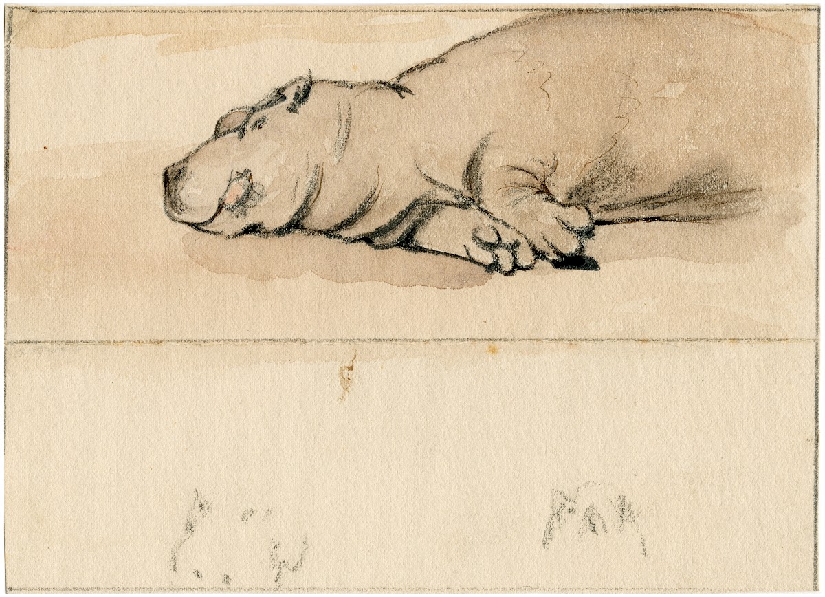 Het nijlpaard in de Engelse dierentuin 1806
