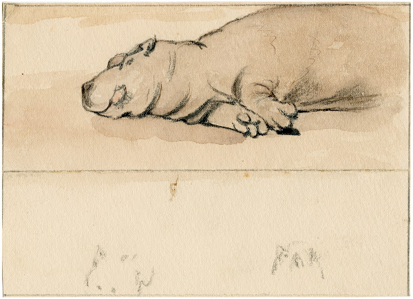 Het nijlpaard in de Engelse dierentuin 1806
