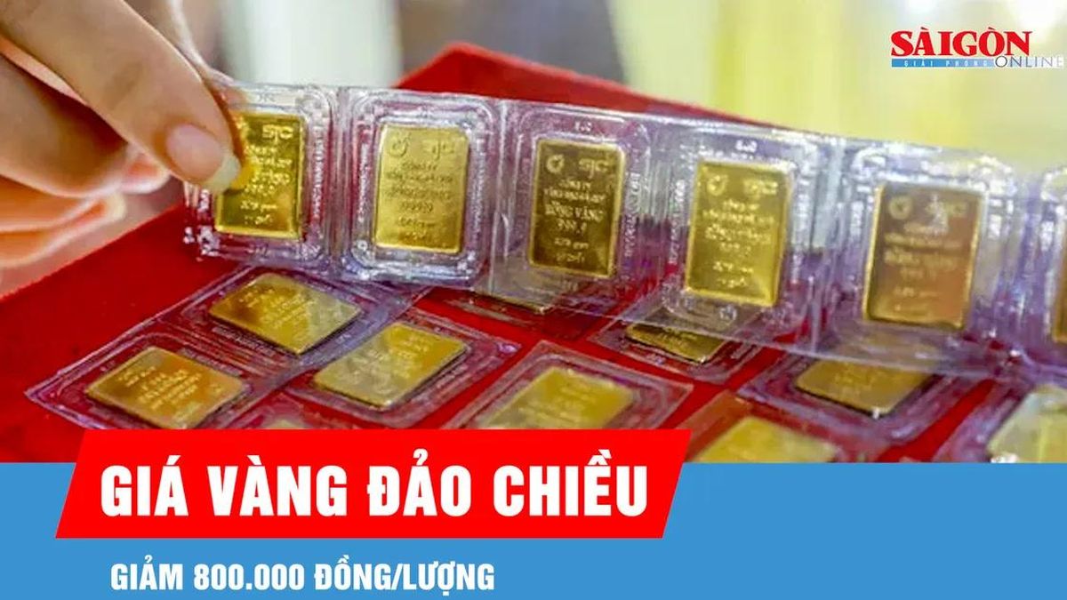 Sáng 23-6, giá vàng đảo chiều, giảm 800.000 đồng/lượng - Báo Sài Gòn Giải Phóng