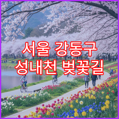 서울 강동구 성내천 벚꽃길 새벽 산책 인파 없이 즐기는 코스
