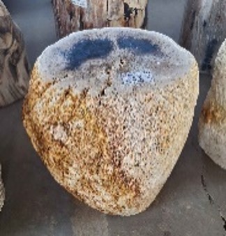 STOOL TOP POLISH PALM — SKU BTP.266.24 | Petrified Wood by PJ Antique Bali