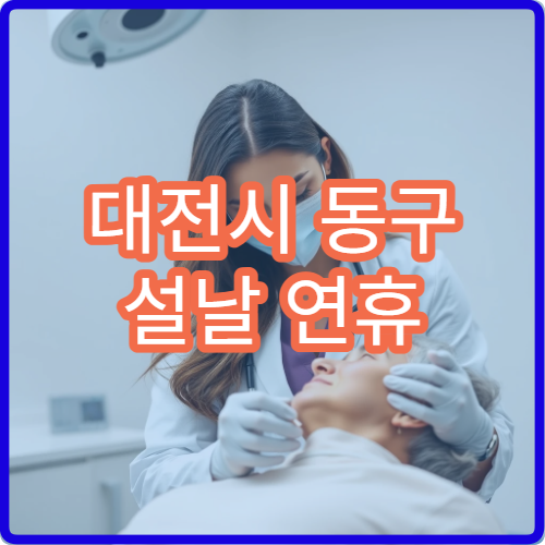 대전시 동구 설날 연휴 응급의학과 진료 병원 이용 가이드