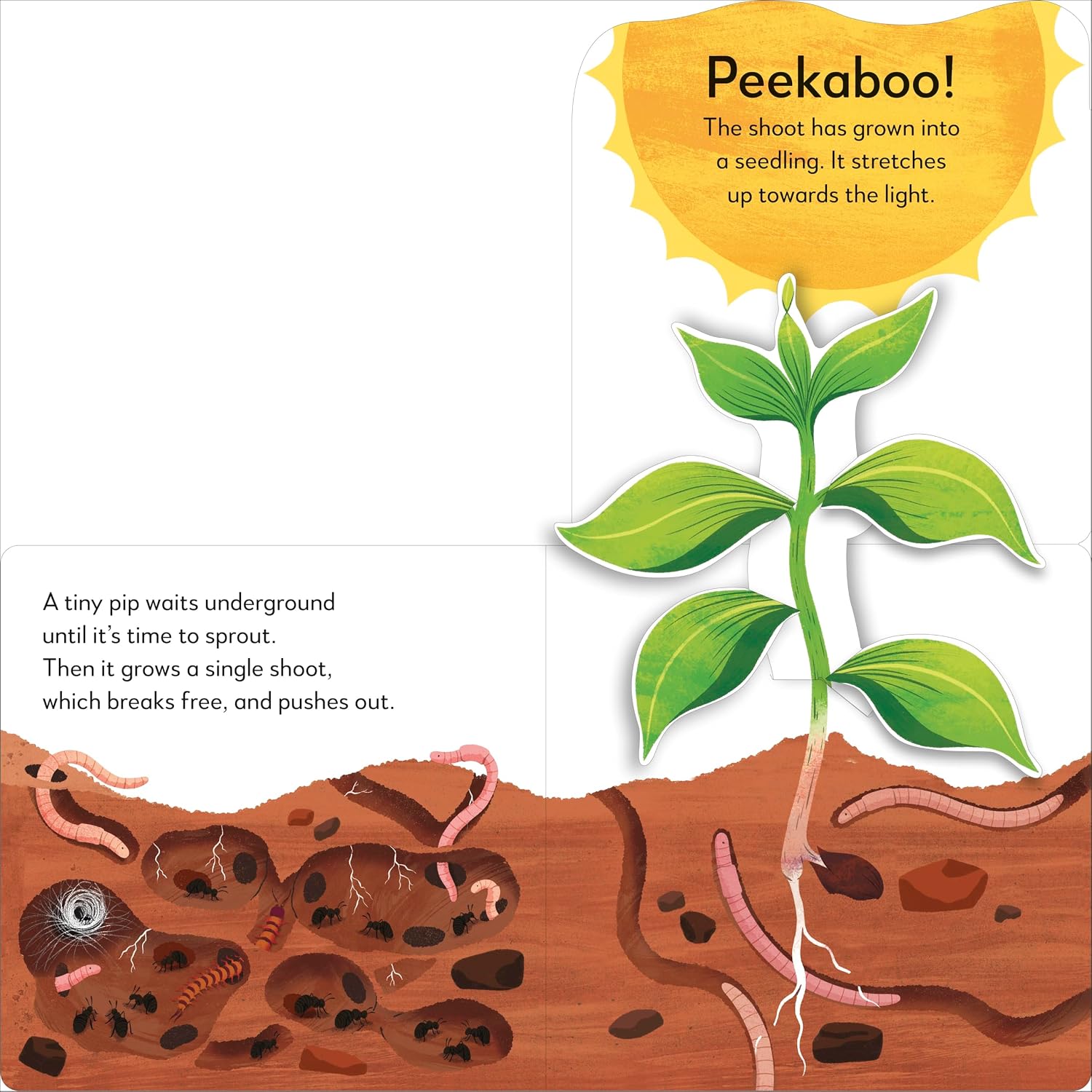 Pop-Up Peekaboo! Tree - thumbnail 2