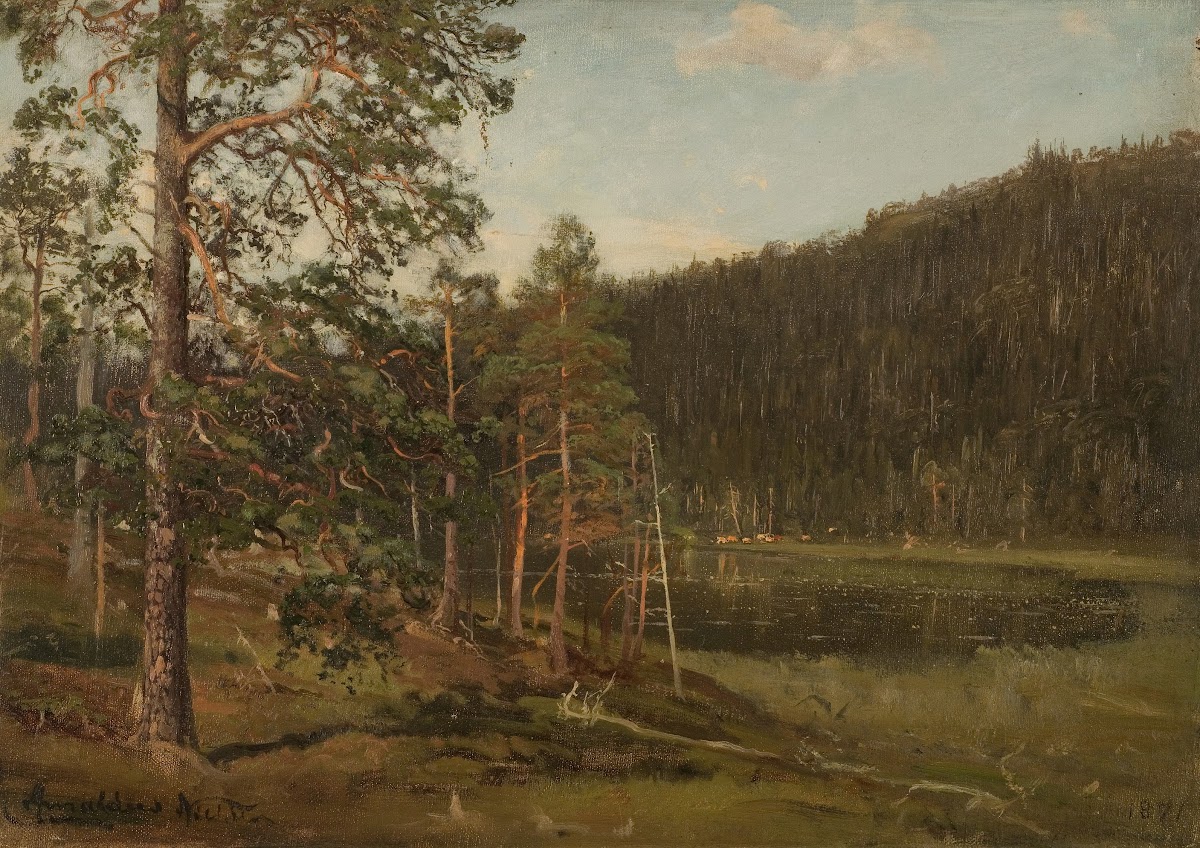 Tjern Levanger 1871