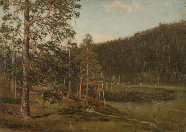 Tjern Levanger 1871