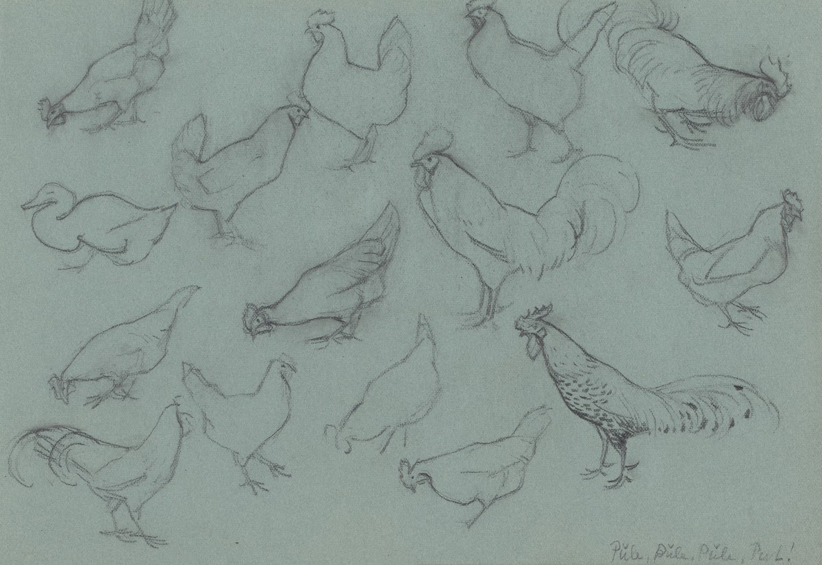 Study sheet with chickens 20th century
