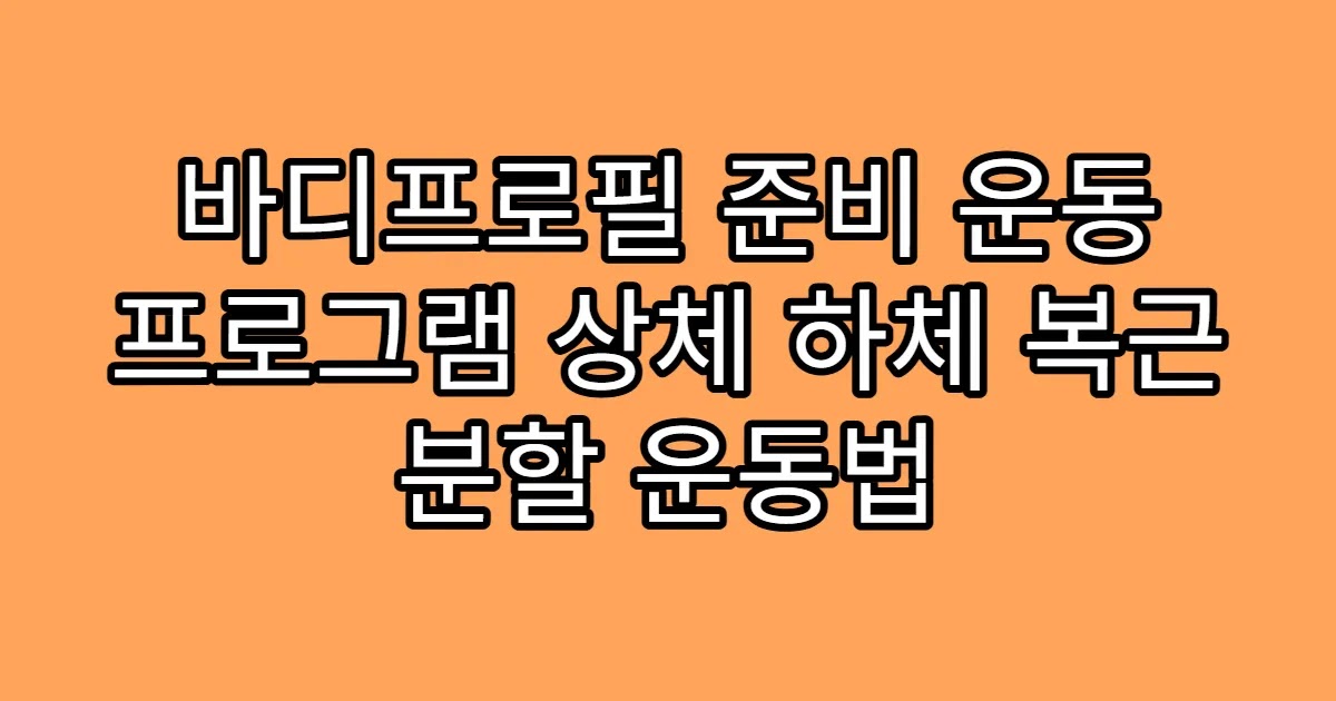 바디프로필 준비 운동 프로그램 상체 하체 복근 분할 운동법