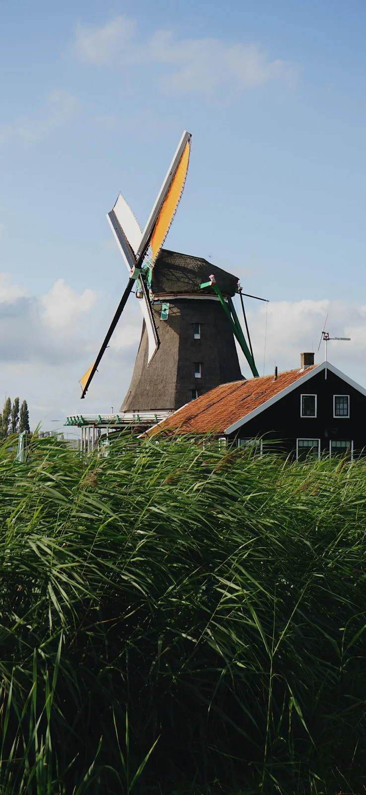 Traditional Dutch Windmill and House - Landscape Photography Full HD iPhone Wallpaper (1290x2796)