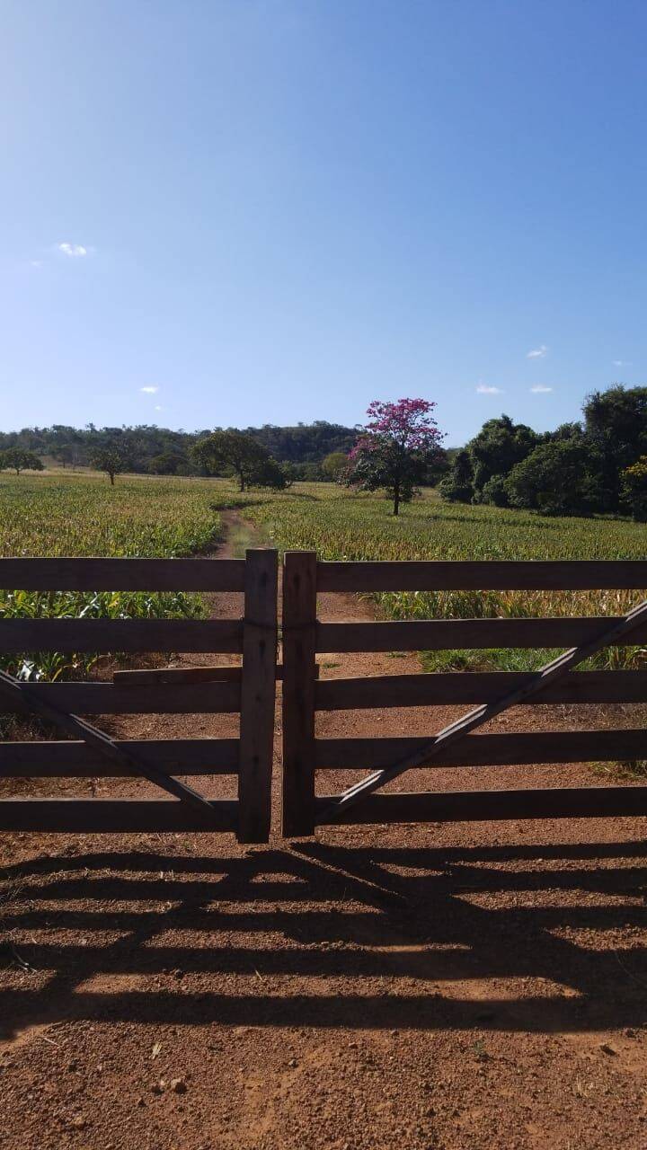 Chácara em Bela Vista de Goiás - GO 8