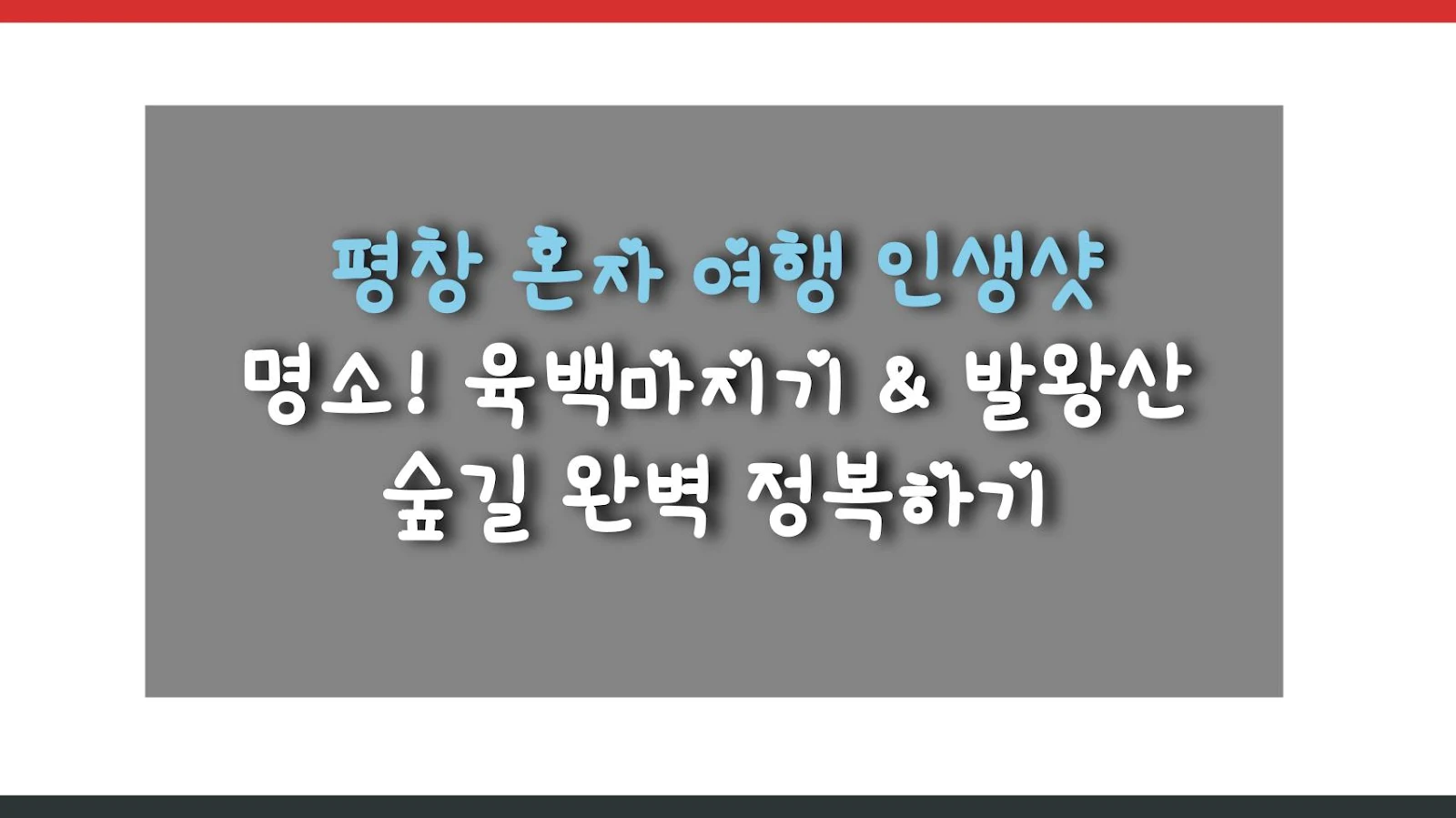 평창 혼자 여행 인생샷 명소! 육백마지기 & 발왕산 숲길 완벽 정복하기