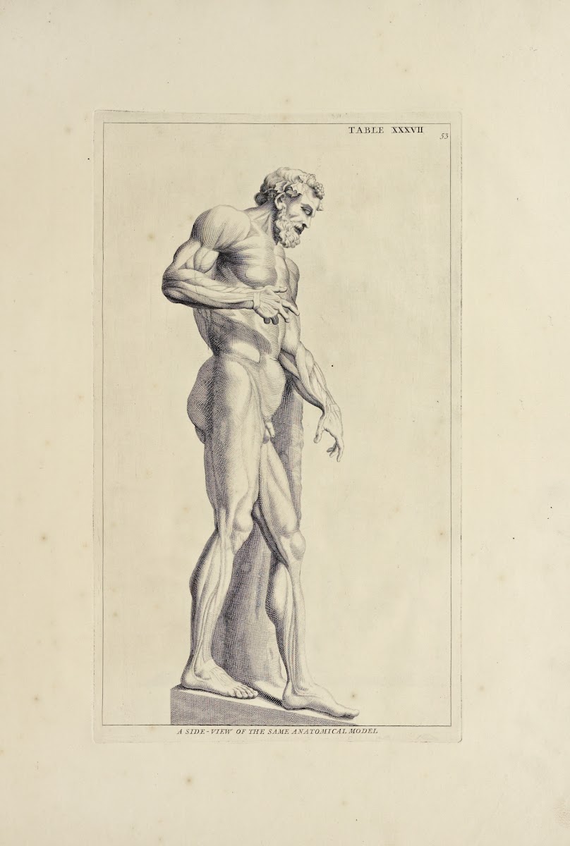 Anatomy improvd and illustrated with regard to the uses thereof in designing Pl3