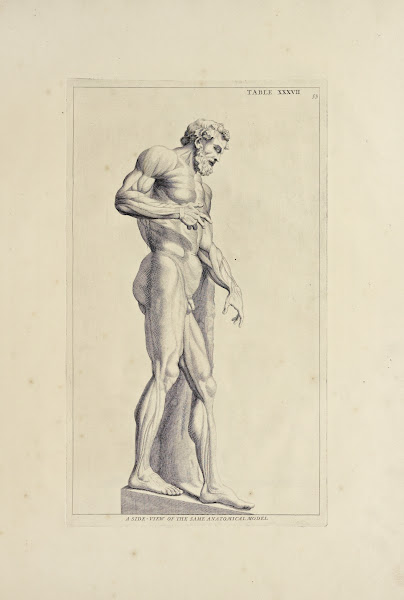 Anatomy improvd and illustrated with regard to the uses thereof in designing Pl3