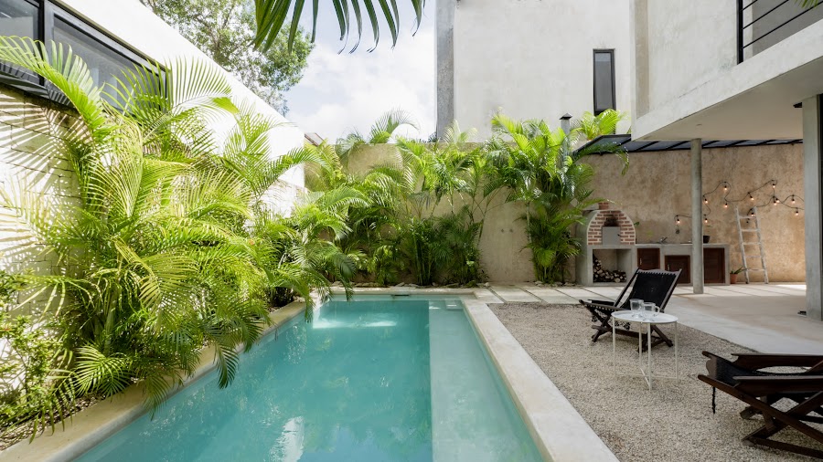 Pool and palms beside the terrace
