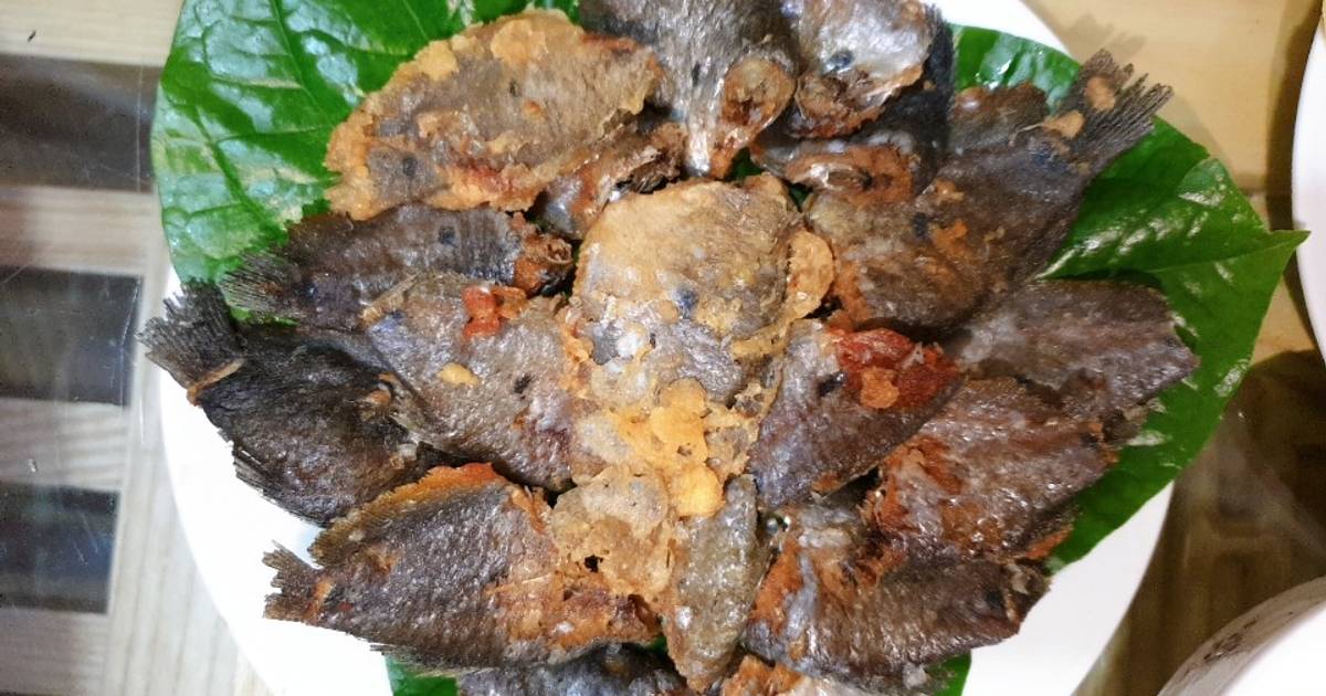 Cá cuộn lá lốt
