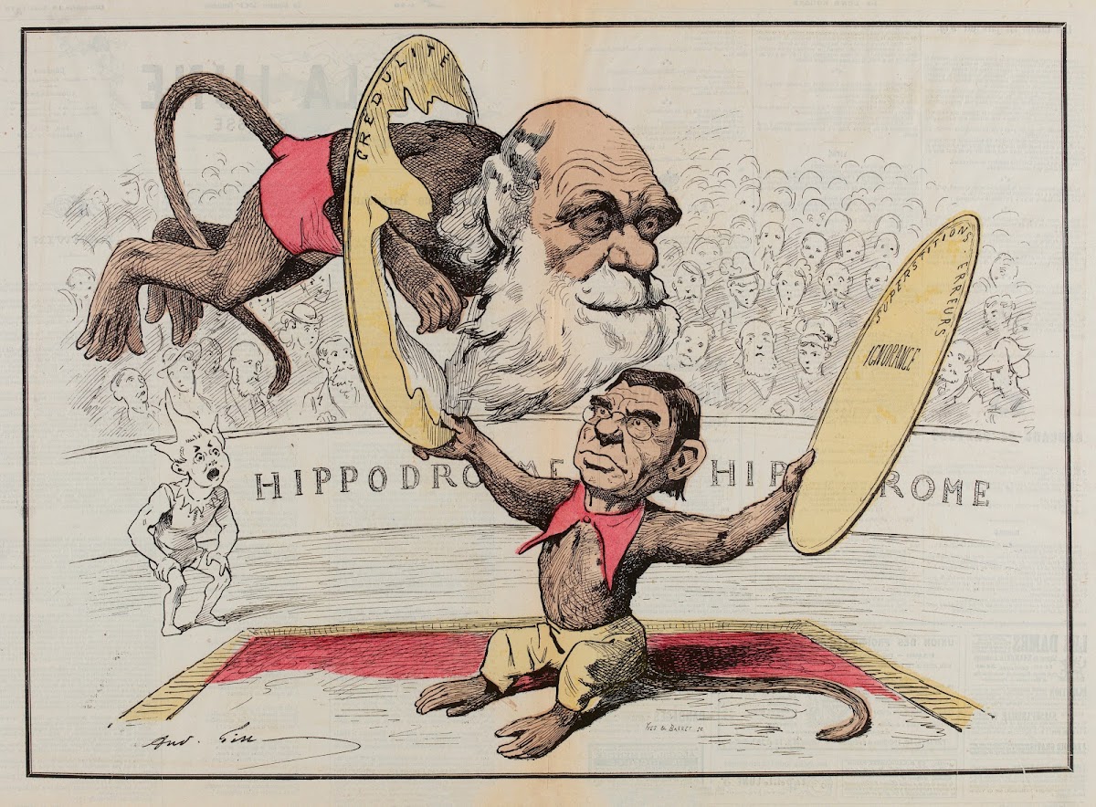Darwin 1878
