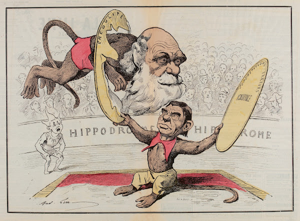 Darwin 1878